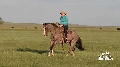Tammy Pate on Saddles