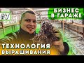 #7 Выращивание Шампиньонов. Мицелий В Компосте. Бизнес В Гараже