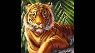Mewarnai Lukisan Gambar Binatang Harimau Jantan #shortsvideo #mewarnai #belajarmewarnaigambar Mewarnai Lukisan Gambar Binatang Harimau Jantan #shortsvideo #mewarnai #belajarmewarnaigambar