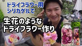 生花のようなドライフラワー 薔薇の花束で作ってみたの巻き Youtube 生花のようなドライフラワー 薔薇の花束で作ってみたの巻き Youtube