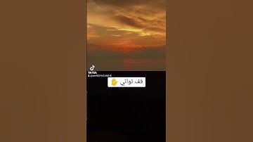 قران كريم بصوت الشيخ ياسر الدوسري
