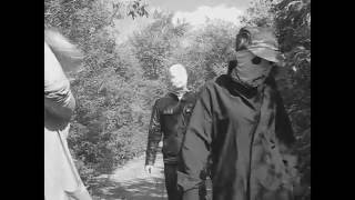 evil.avi.1994