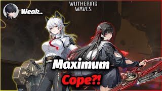 How Good (Or Bad) Are Chisa & Zani [Wuthering Waves]