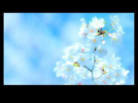 『最後の優しさ』　 JAYED