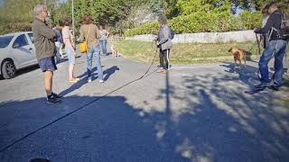 Educa Patte - Balade collective du 9 septembre 2020