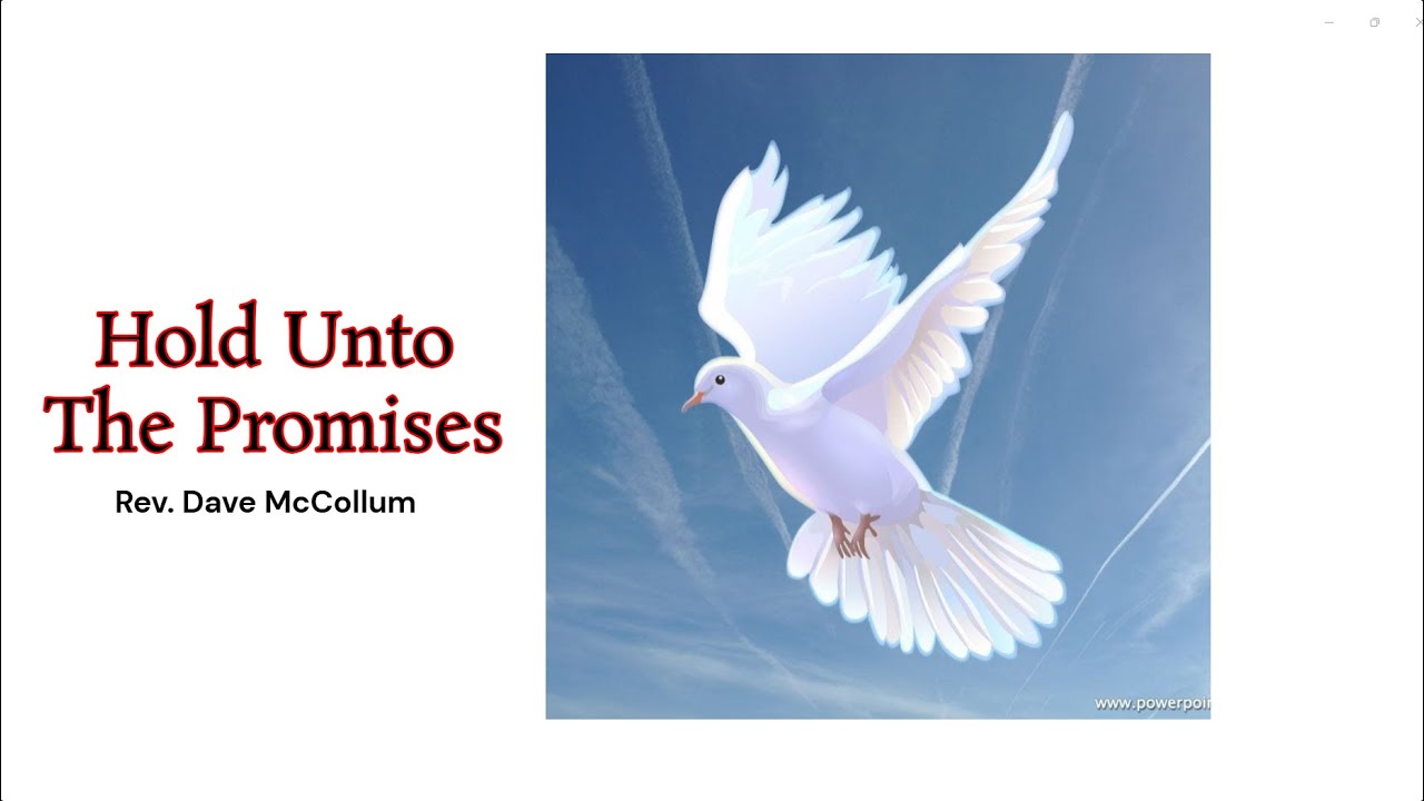 Rev. Dave McCollum  - Hold Unto The Promises