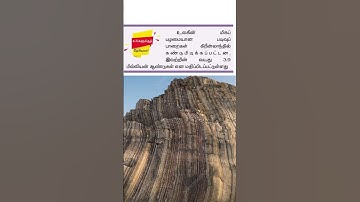 tnpsc group 4 exam in 2024 | vao | pc | mhc | 8th social science | geographic question and answer