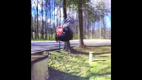 Spring Break Video -- Feat. Raymond Garrison & All...