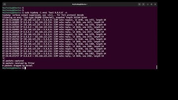 (2023-06-15) How to use option -# in tcpdump to add the packet number for each line shown
