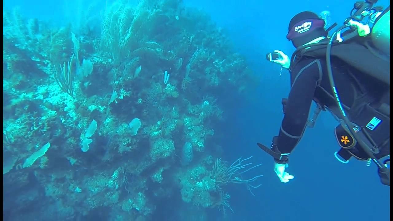 What hiccups sound like while diving...