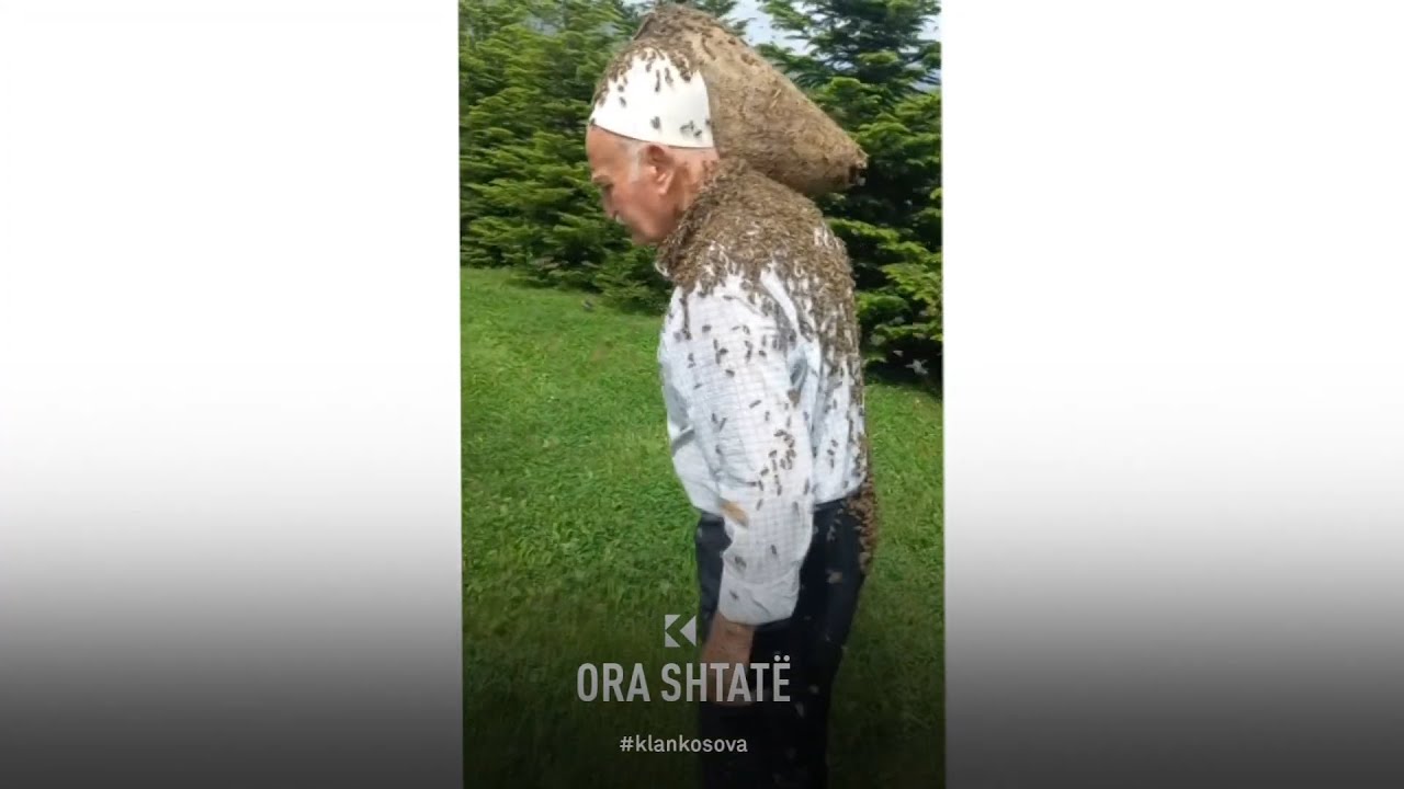 Zeqir Hakaj, plaku bletar që u bë viral - 22.05.2023 - Ora 7