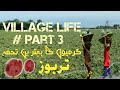 Saqib jutt   village life  part 3