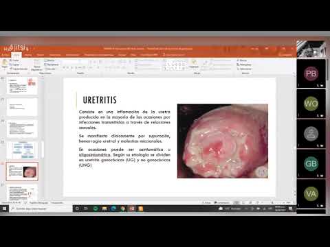 Semana 3 - Urología - Uropatías obstructivas e Infecciones del tracto urinário