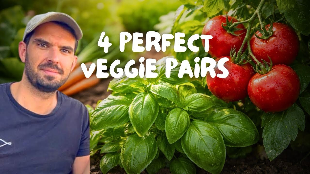 What Vegetables Grow Well Together? 4 Proven Pairings (Tomato & Basil + More !)