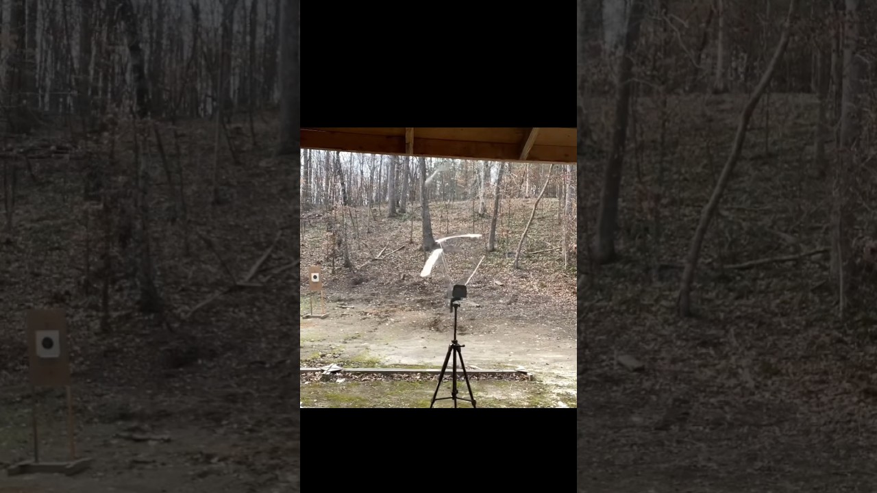 I shot my chronograph…