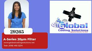 29265 domino 20u cij filter