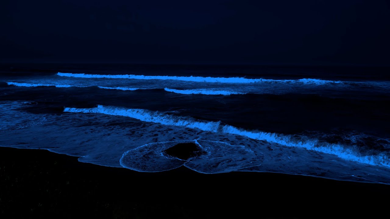 Deep Relaxation: Continuous Ocean Waves White Noise | Ocean Sounds to ...
