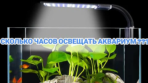 СКОЛЬКО ЧАСОВ ОСВЕЩАТЬ АКВАРИУМ !?