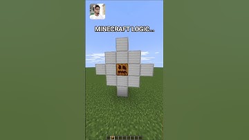 Minecraft logic...#minecraft #shorts #minecraftlogic