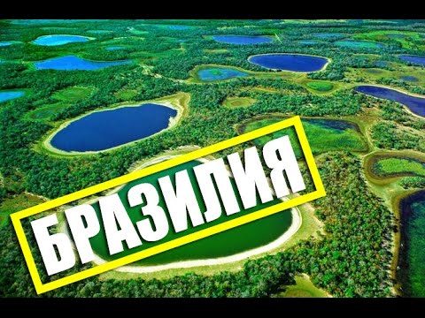 Самое большое болото в мире - Пантанал| БРАЗИЛИЯ