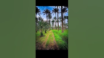 اجمل صوت قران كريم يريح القلب