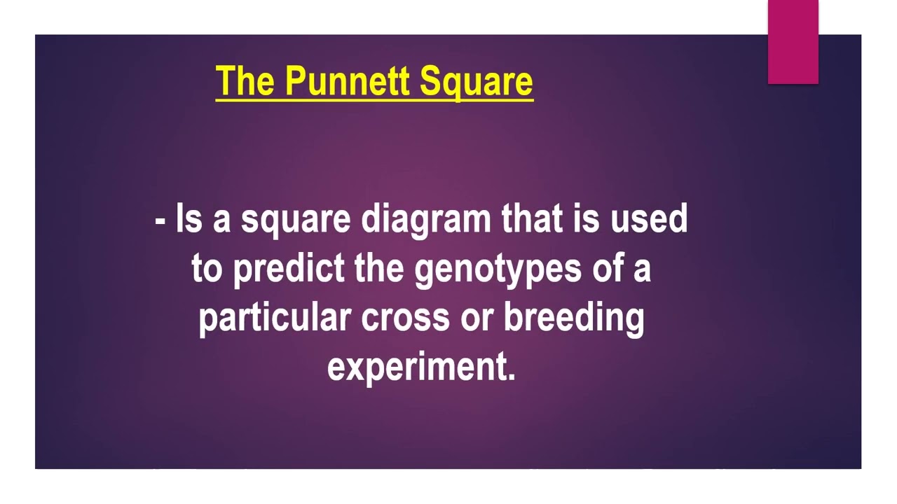 Phenotypic Expressions