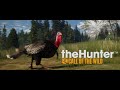 TheHunter Call Of The Wild Silver Ridge Peaks Animal Highlights 
