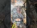 The Ultimate Outdoor Cooking Experience
