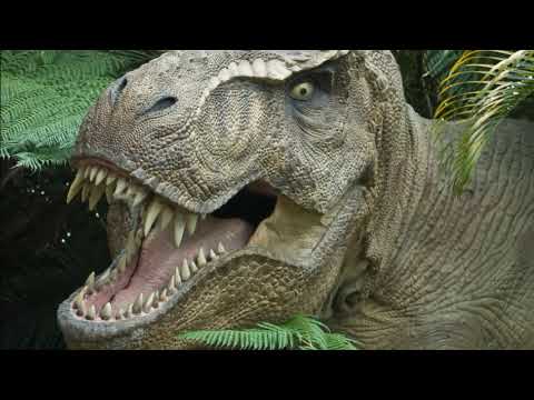 Video: Ali so prišli dinozavri?