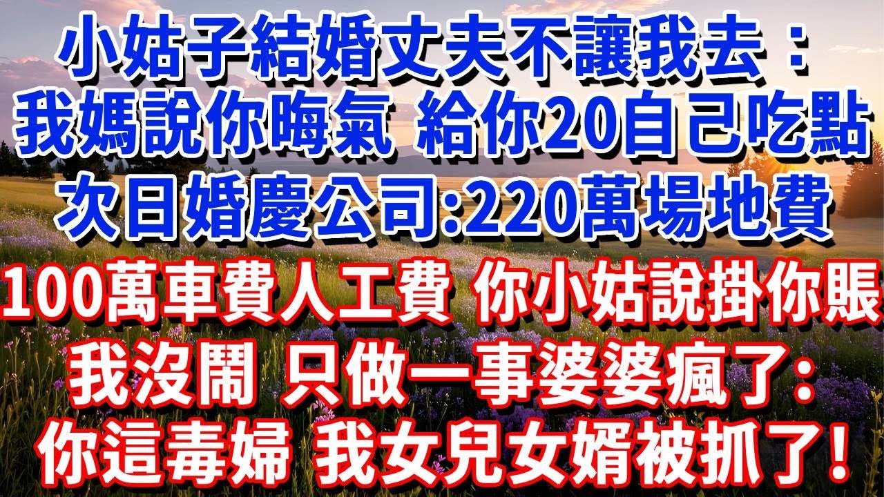 小姑子結婚丈夫不讓我去：我媽說你晦氣，給你20自己吃點。次日婚慶公司催賬：220萬場地費,100萬車費人工費，你小姑說掛你賬！我沒鬧，做一事，婆婆瘋了：你這毒婦，我女兒女婿被抓了#小魚故事會#為人處世