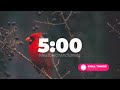 5 Minute Timer 4k Amazing Birds 