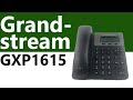 Grandstream GXP1615 1 Line Small Business IP Phone - Product Overview