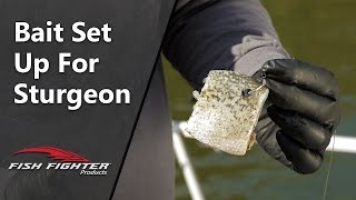 How to Choose and Set Up Bait for Sturgeon Fishing | Fish Fighter™ Products