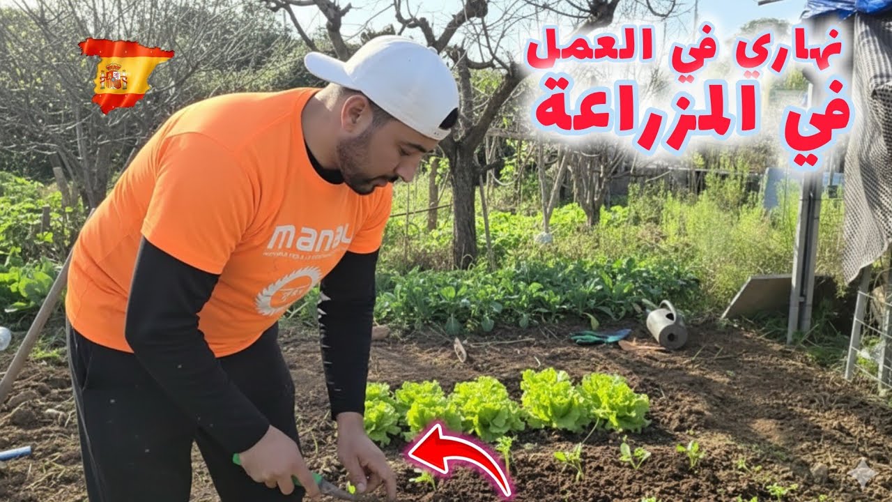 يوم العمل في فالمزراعة ها في جبت نهاري اليوم 