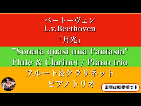 Piano Sonata No. 14 (op.27-2) (Flute & Clarinet / Piano trio ) - Beethoven