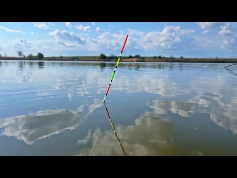 Video: Cele mai bune lacuri de pescuit cu bas din Texas