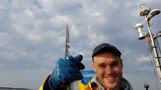 Improving fisheries data with digital tools