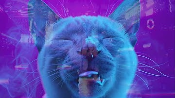 Demo Reel 2026 - Elijah Wasserman