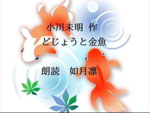 朗読 どじょうと金魚 小川未明 作 朗読 如月凛 Youtube