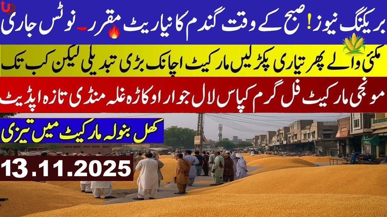Today Wheat price in punjab//گندم کا ریٹ 2025/munji makki till sarso/Galla mandi rate today 
