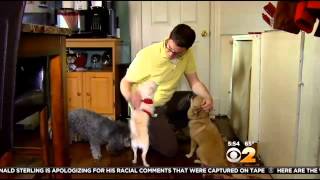 DogVacay Is The New Alternative To The Kennel