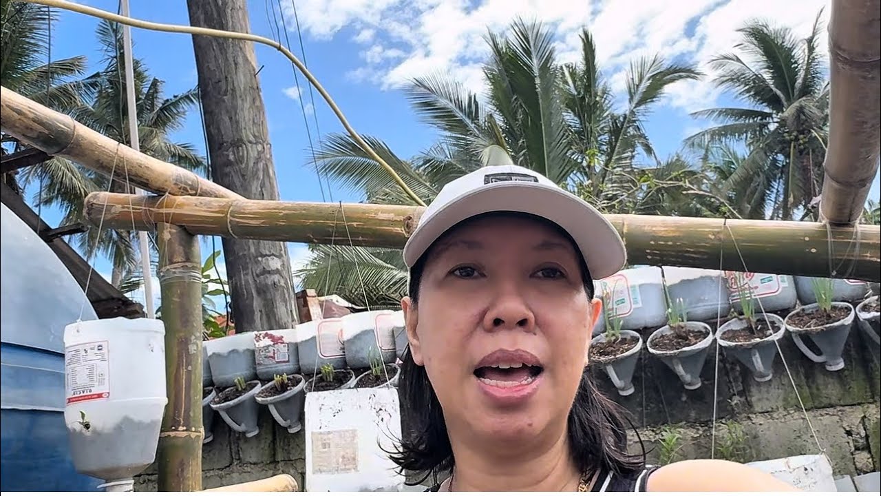 WALANG MALAKING SPACE NA LUPA PARA MAKAPAGTANIM ITO ANG GAWIN NINYO