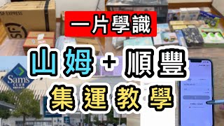 【山姆➕順豐教學】示範深圳超市網購及集運從零開始教圖文解說讓你懂❗一片學識❗順豐集運山姆APP代購山姆会员商店山姆必買山姆團開箱SF Express淘寶京東拼多多