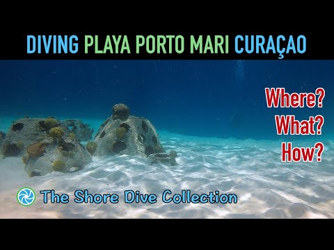 Diving Playa Porto Mari Curaçao | The Shore Dive Collection | TropicLens - 4K