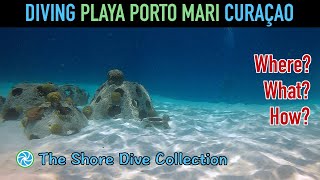 Diving Playa Porto Mari Curaçao The Shore Dive Collection Tropiclens - 4K