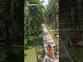 Danger ⚠️ #viral #trending #ytshorts #dangerride #amazing ☠️🤯💯