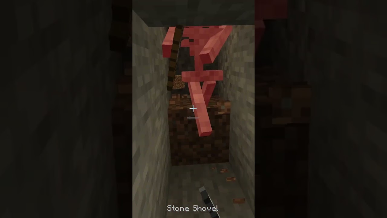 Minecraft Shorts