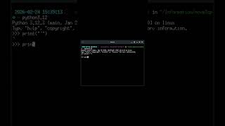When are Backticks Allowed in #Python #Programming #Coding?