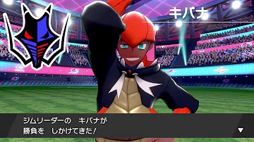ポケモンリーグ 耐久