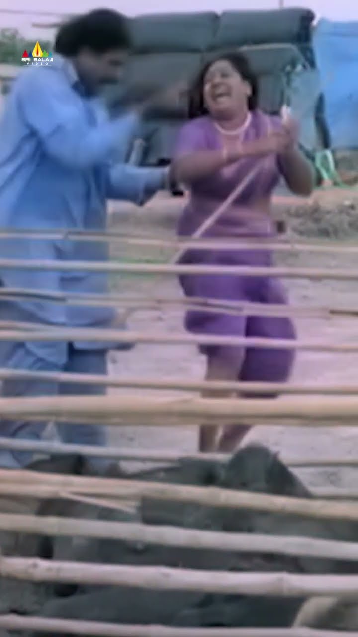 Telangana Sakuntala Hilarious Comedy | #mestri | #comedy | #shorts | #ytshorts | #youtubeshorts